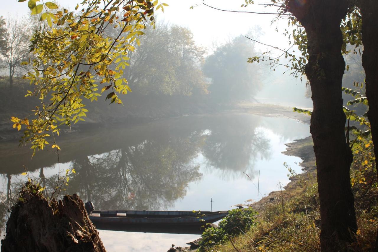 Murmures De Loire Montjean-sur-Loire Екстер'єр фото